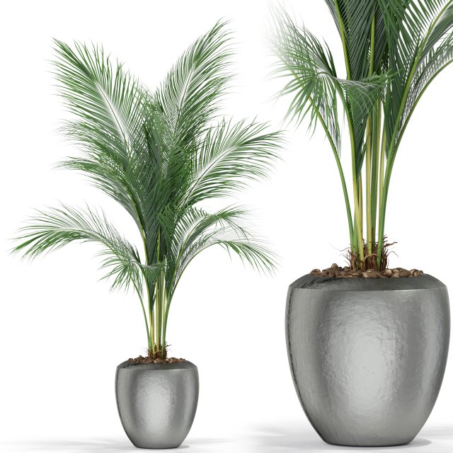 Plants collection 399 3D Model .c4d .max .obj .3ds .fbx .stl .blend 