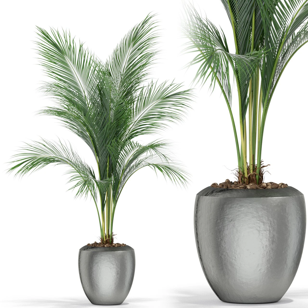 Plants collection 399 3D Model .c4d .max .obj .3ds .fbx .stl .blend 