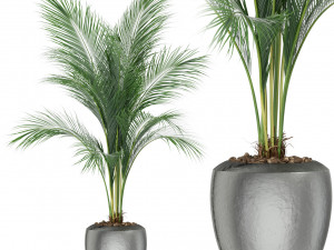 Plants collection 399 3Dモデル