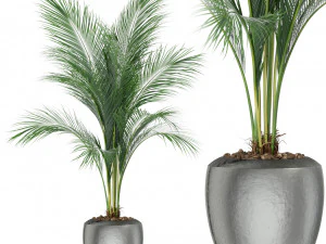 Коллекция растений 399 3D Модель