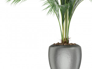 Plants collection 399 3D Model
