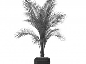 Plants collection 399 3D Model