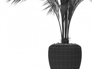 Plants collection 399 3D Model
