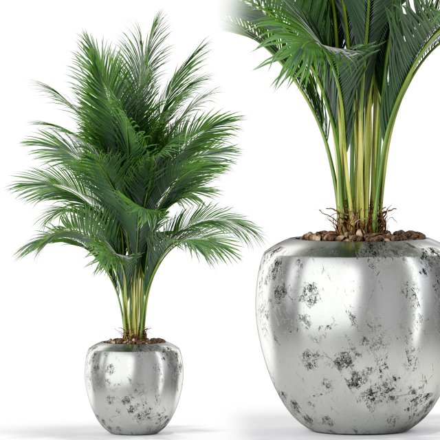 Plants collection 400 3D Модель .c4d .max .obj .3ds .fbx .stl .blend 