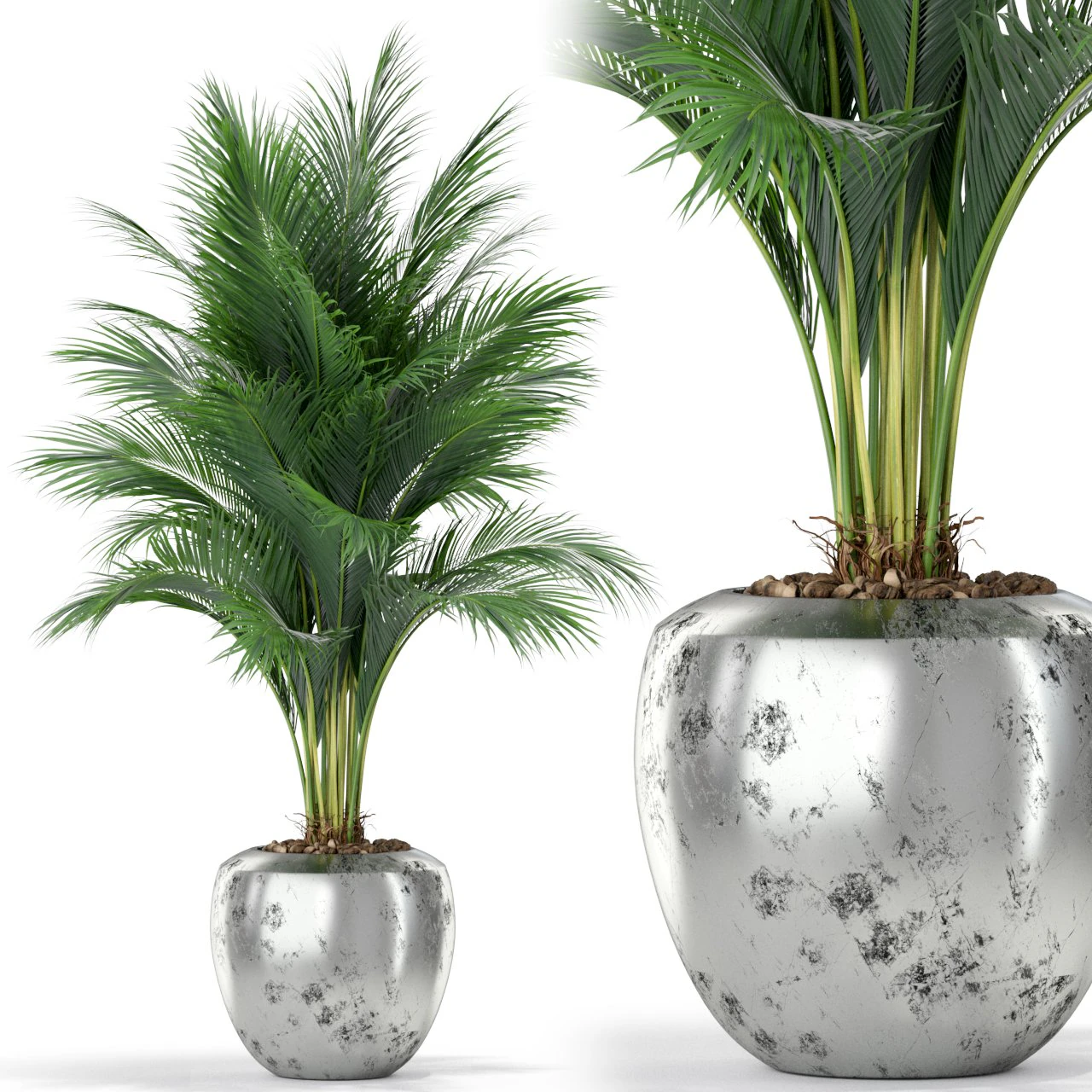 Plants collection 400 3D Model .c4d .max .obj .3ds .fbx .stl .blend 