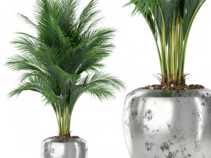 Коллекция растений 400 3D Модель