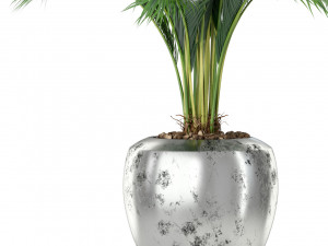 Plants collection 400 3D Модель