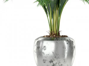 Plants collection 400 3D Model