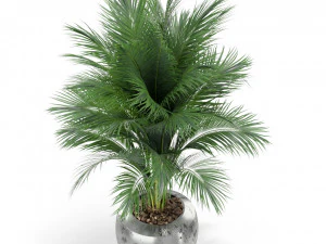 Plants collection 400 3D Model