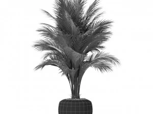 Plants collection 400 3D Model