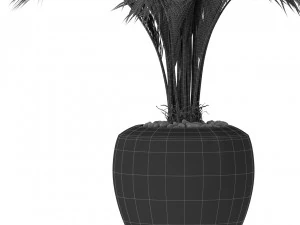 Plants collection 400 3D Model