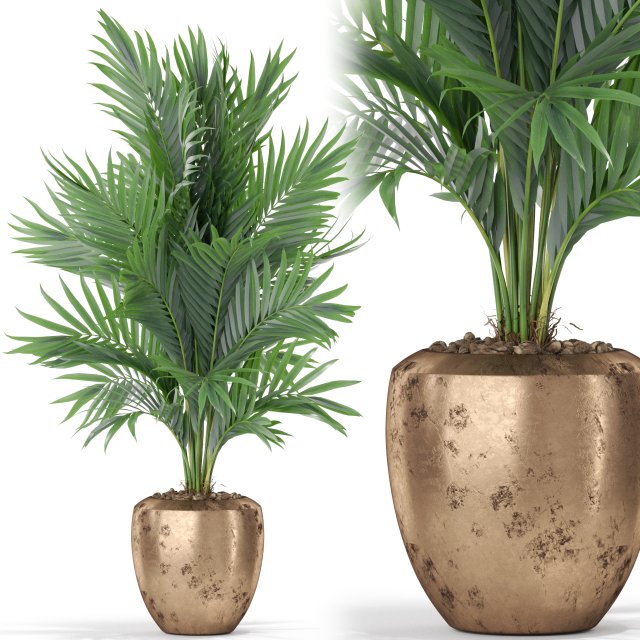 Plants collection 401 3D Model .c4d .max .obj .3ds .fbx .stl .blend 