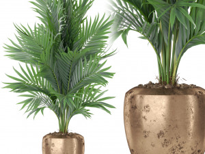 Plants collection 401 3D Model