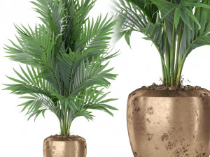 植物系列401 3D 模型