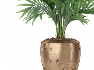 Plants collection 401 3D Model