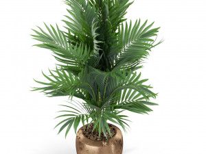 Plants collection 401 3D Model