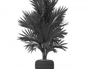 Plants collection 401 3D Model
