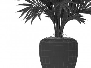 Plants collection 401 3D Model