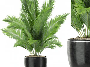 Colecci&oacute;n de plantas 402 Modelo 3D