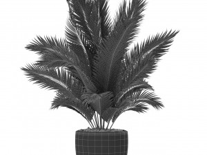 Plants collection 402 3D Model