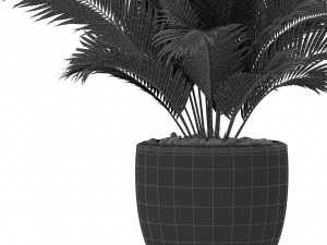 Plants collection 402 3D Model