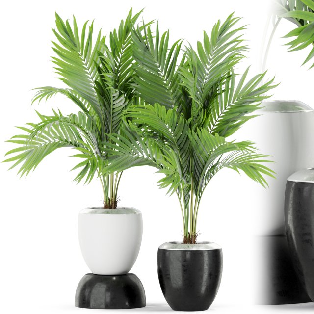 Plants collection 403 3D Model .c4d .max .obj .3ds .fbx .stl .blend 