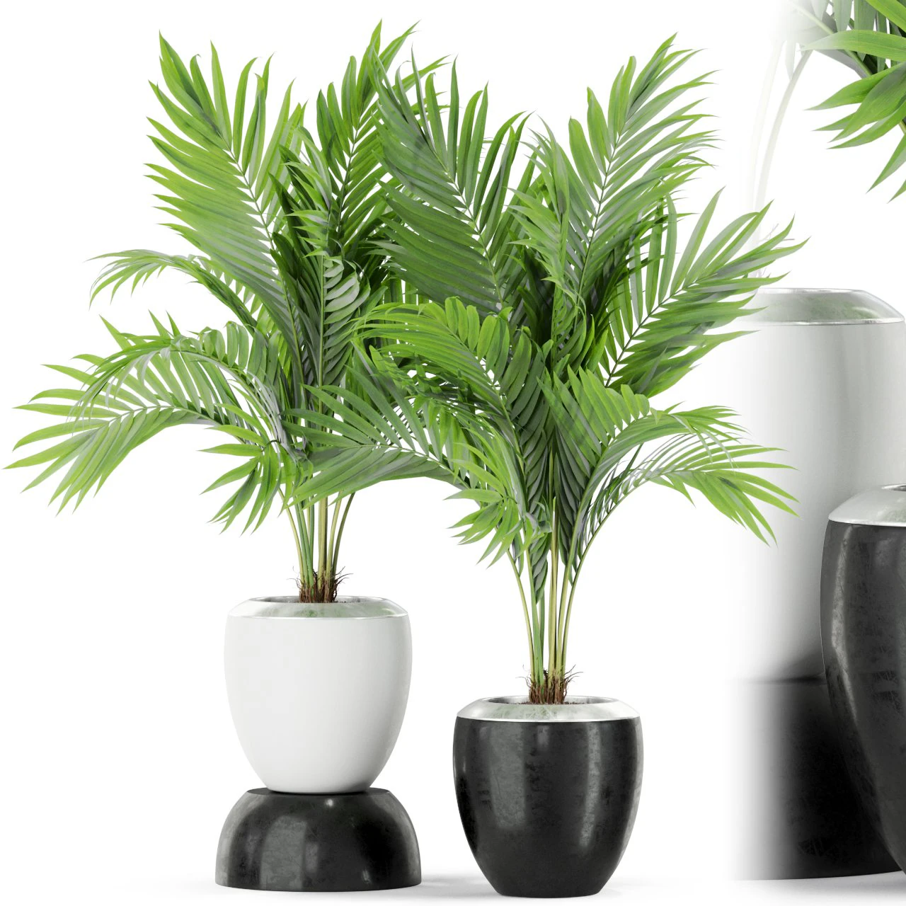 Plants collection 403 3D Model .c4d .max .obj .3ds .fbx .stl .blend 