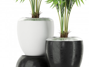 Plants collection 403 3D Model