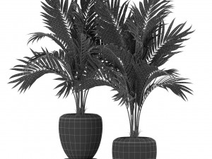 Plants collection 403 3D Model