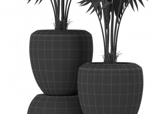 Plants collection 403 3D Model