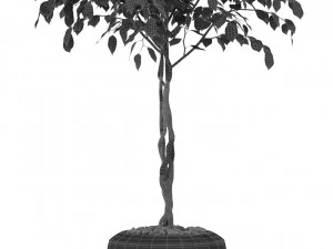 Plants collection 404 3D Model
