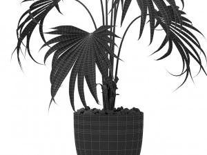 Plants collection 407 3D Model