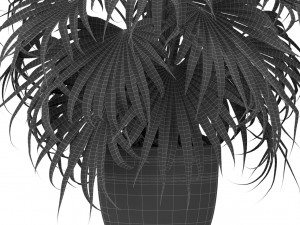 Plants collection 409 3D Модель