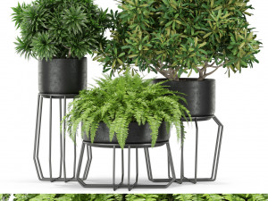 Plants collection 410 3Dモデル