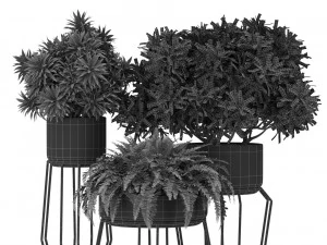 Plants collection 410 3D Model