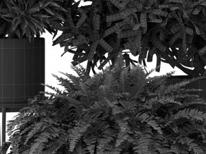 Plants collection 410 3D Model