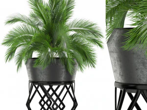 Коллекция растений 411 3D Модель