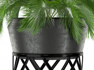 Plants collection 411 3D Model