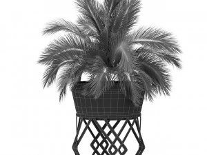 Plants collection 411 3D Model