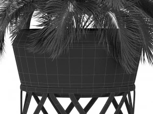 Plants collection 411 3D Model