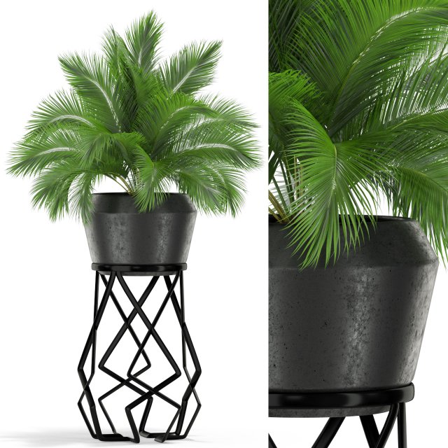 Plants collection 412 3D 模型 .c4d .max .obj .3ds .fbx .stl .blend