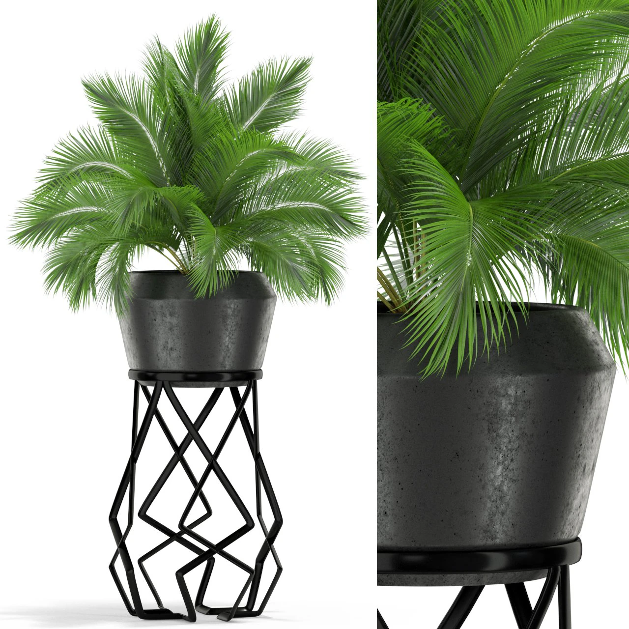 Plants collection 412 3D Model .c4d .max .obj .3ds .fbx .stl .blend 