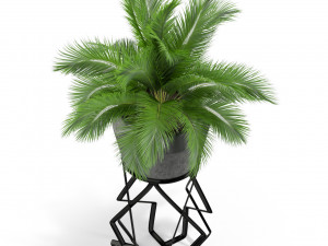 Plants collection 412 3D 模型