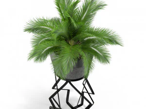 Plants collection 412 3D Model