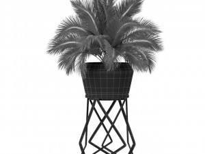 Plants collection 412 3D 模型