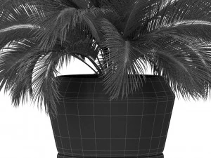 Plants collection 412 3D Model
