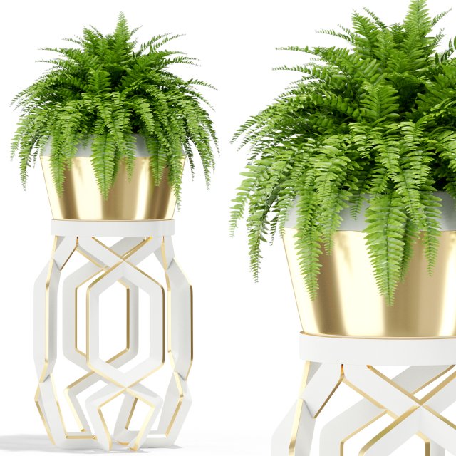 Plants collection 413 3D Модель .c4d .max .obj .3ds .fbx .stl .blend 