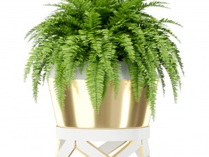 Plants collection 413 3D Модель