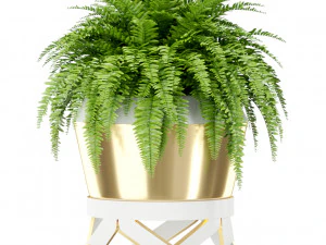 Plants collection 413 3D Model