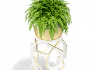Plants collection 413 3D Model